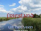 Reisverslag Friesland uit het veen